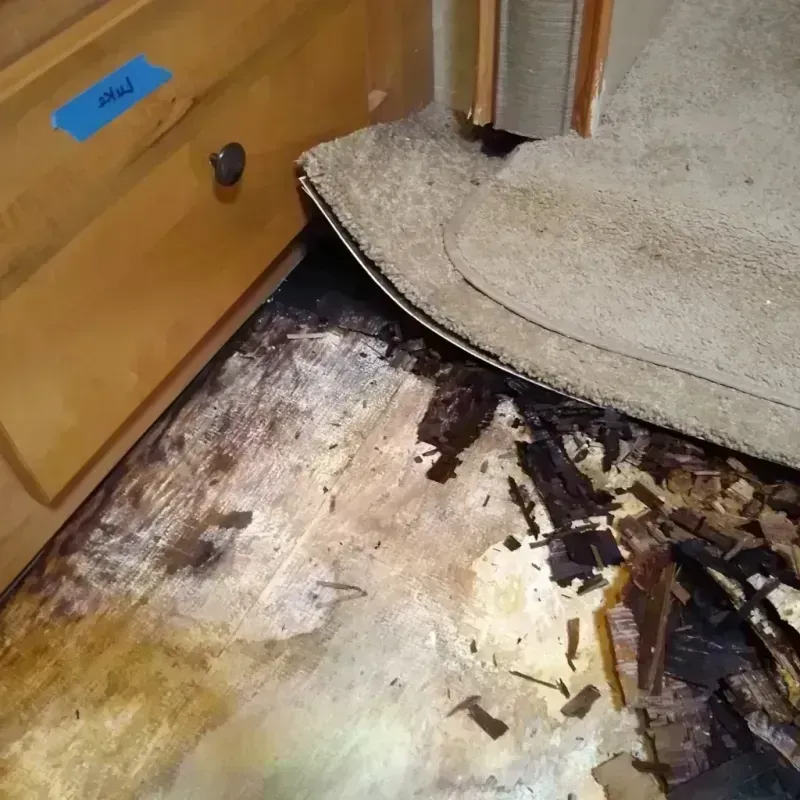 Wood Floor Water Damage in Guthrie, OK